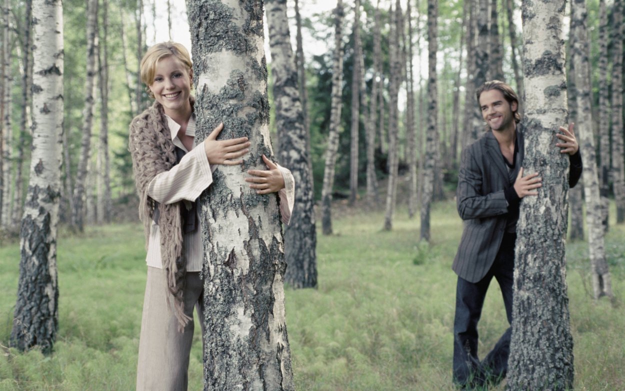 Береза в апреле