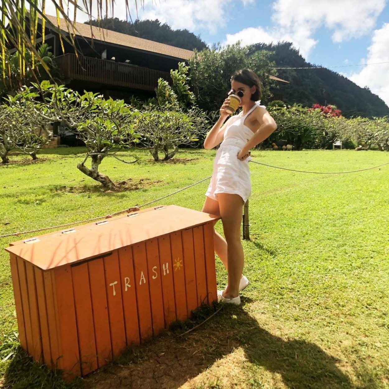 Лекарственные травы для очищения сосудов