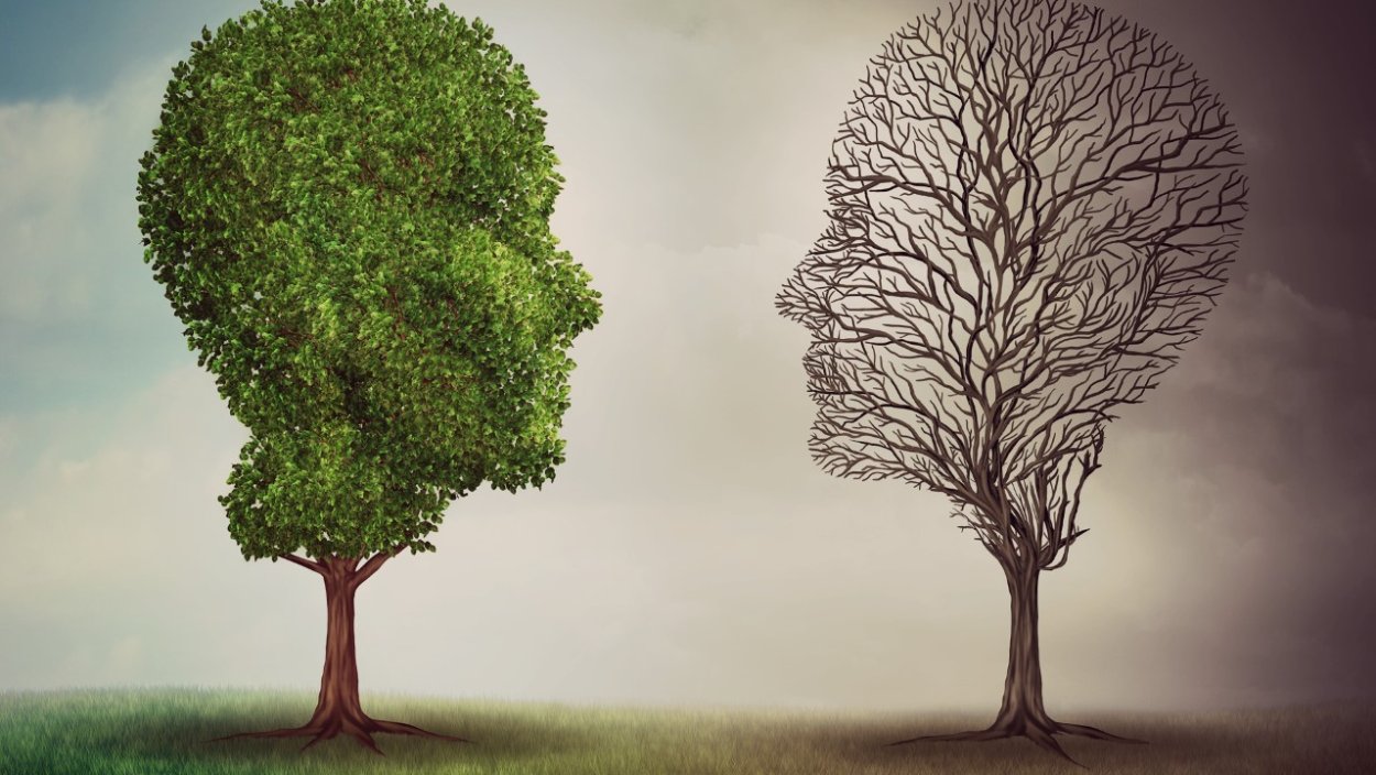 Человек рядом с деревом