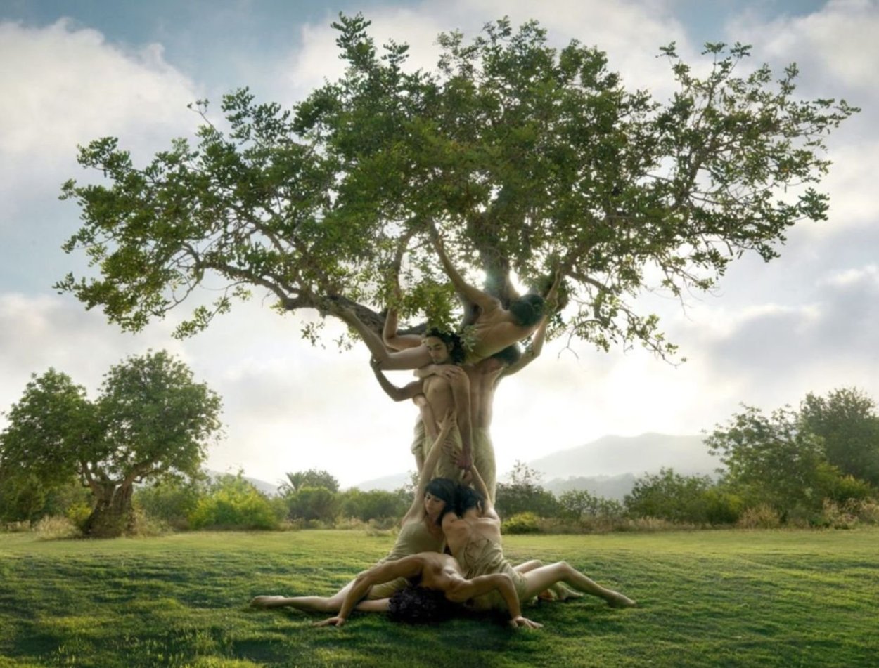 Ясень Иггдрасиль