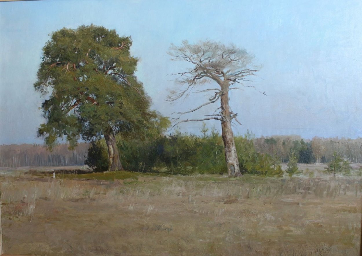 Причудливые деревья