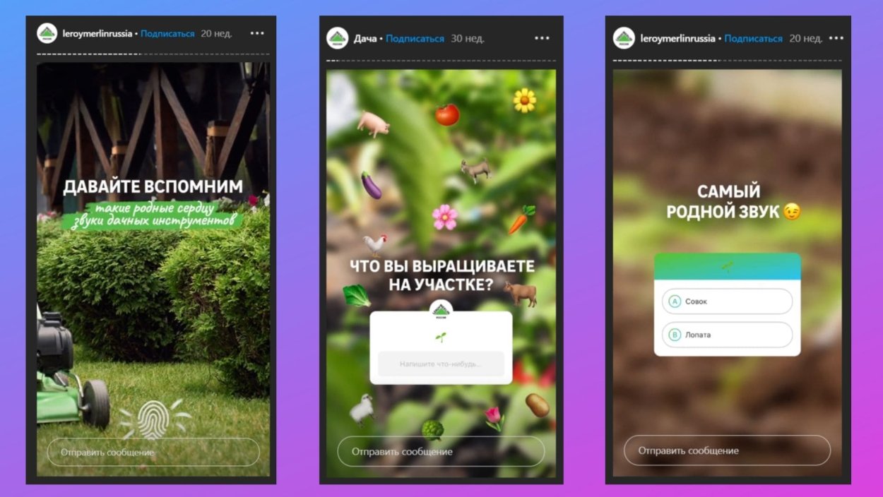 Укроп петрушка кинза базилик лук