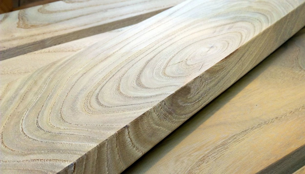 Листок вяза