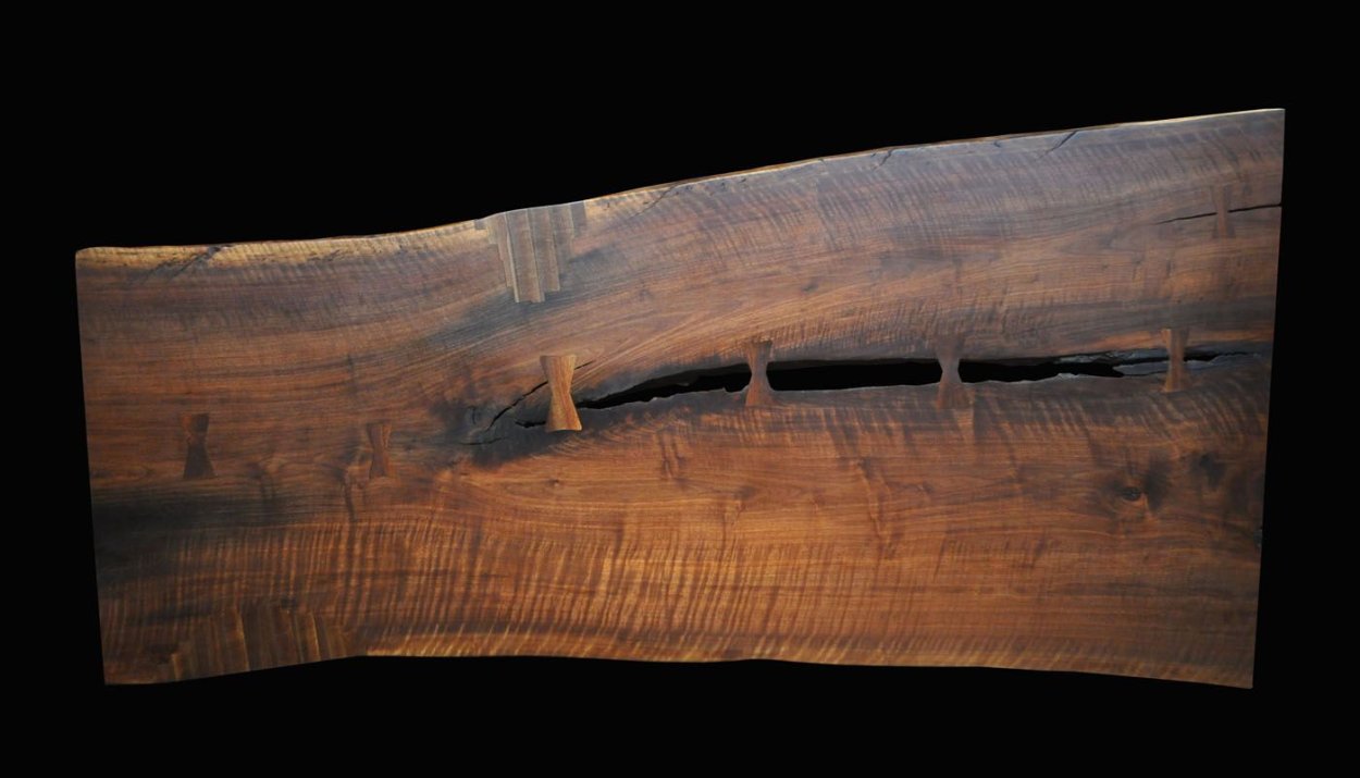 Дерево вяз Вязовая роща