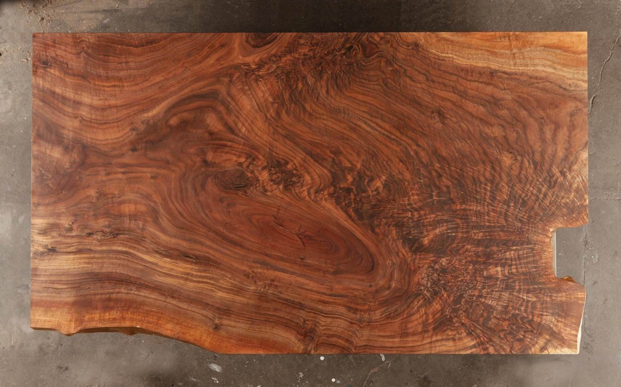 Дуб НИЗКОСТВОЛЬНЫЙ