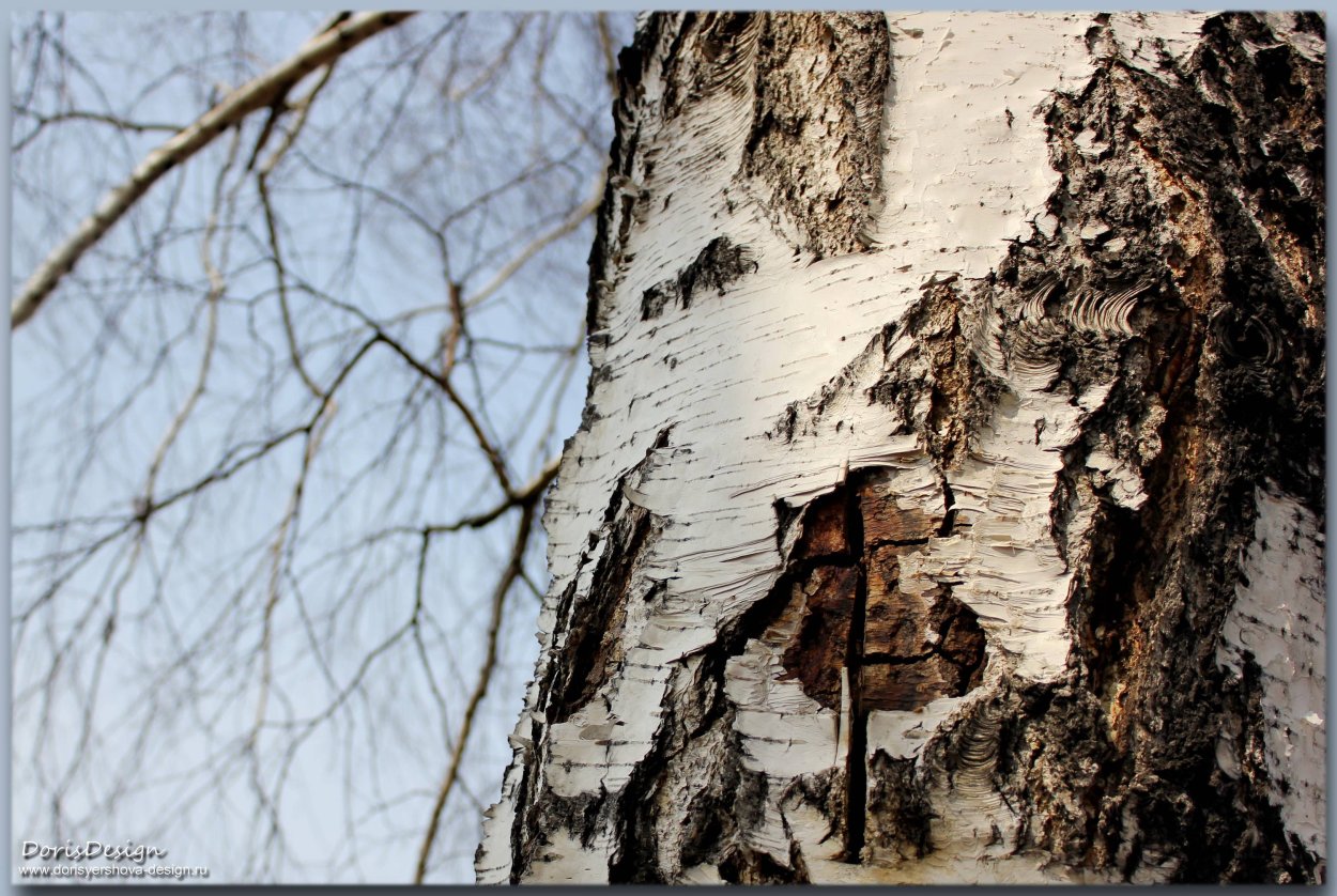 Коричневое дерево