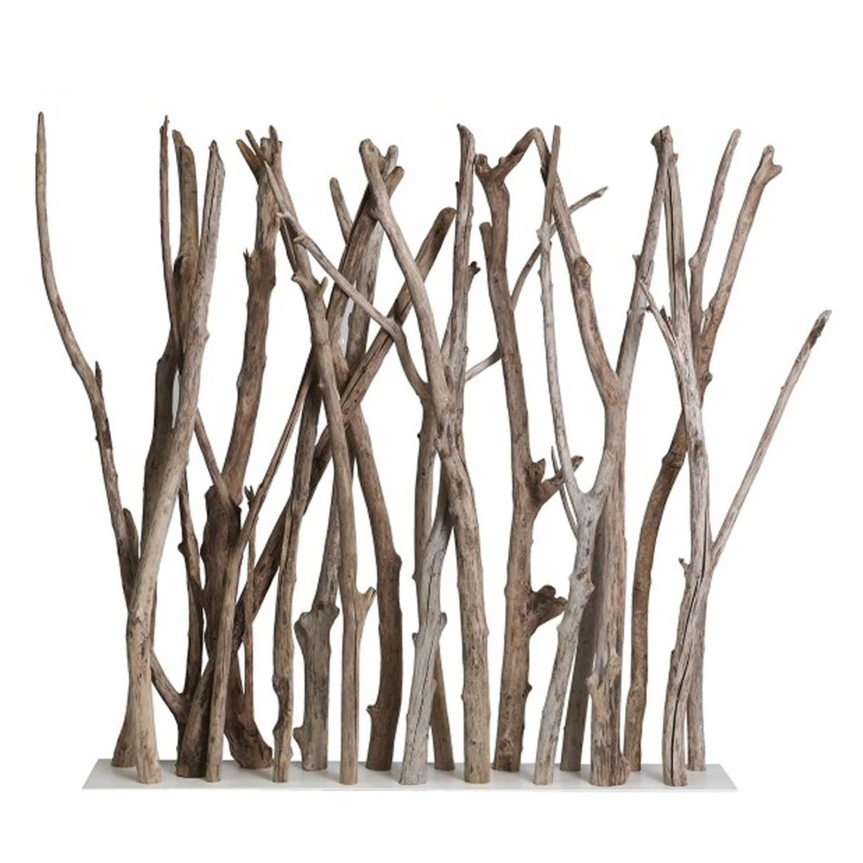 Сухая ветка дерева