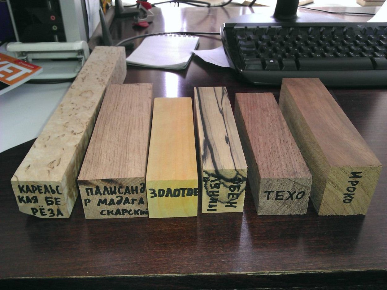 Растения Австралии драконовое дерево