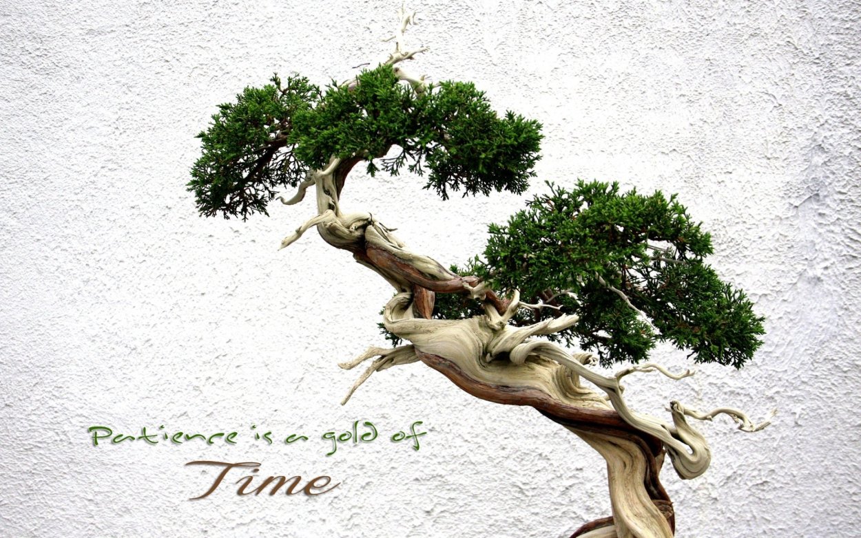 Чистка зубов палочкой в древности