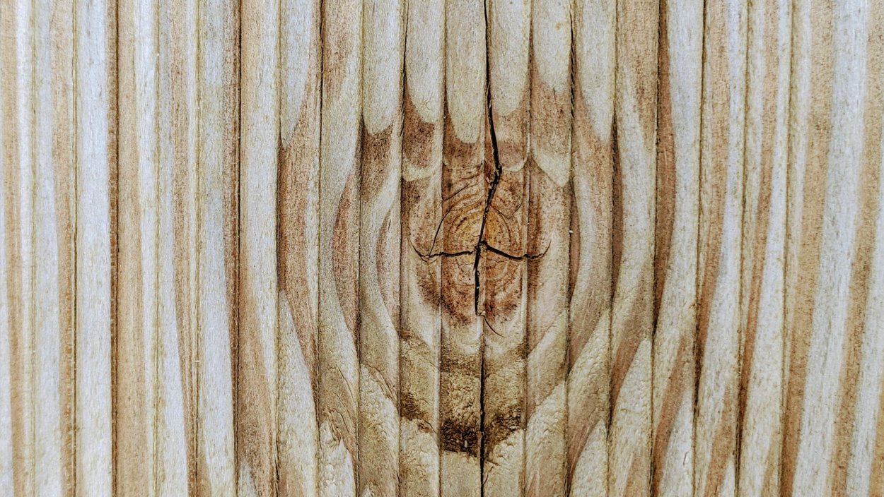 Срез дерева