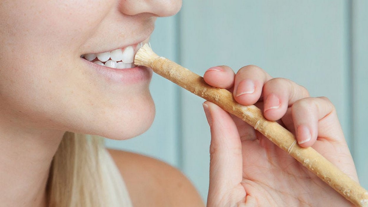 Семена вяза