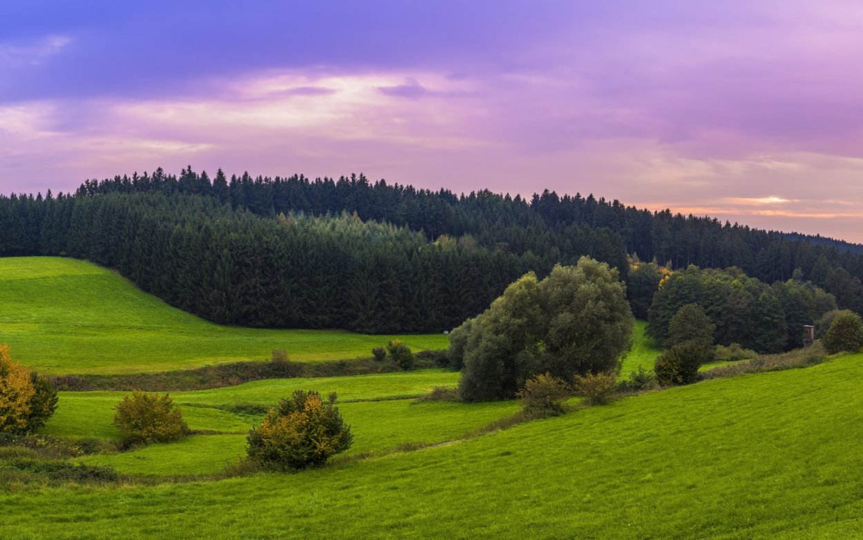 Республика Мордовия природа