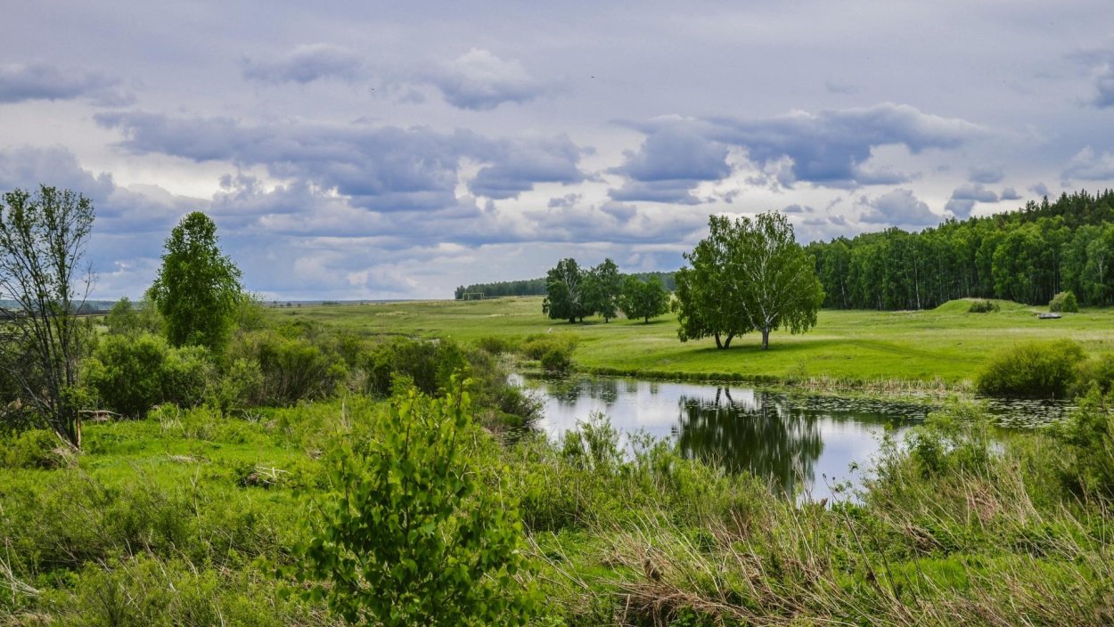 Лес Чувашии