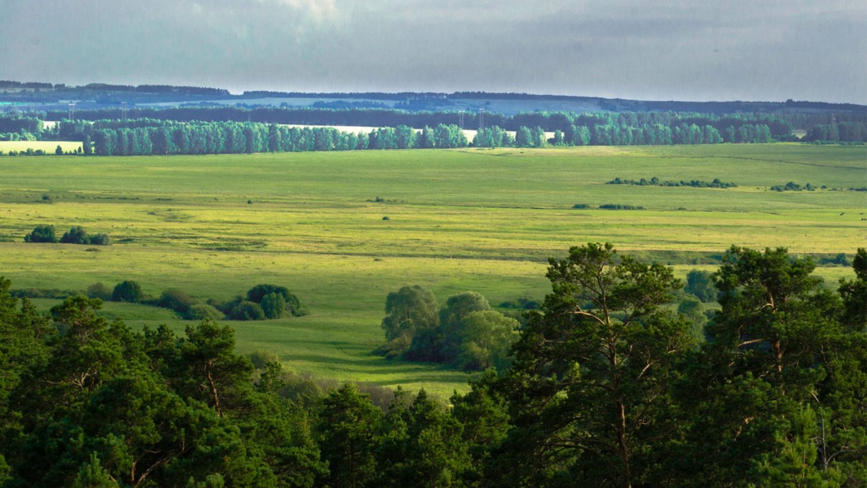 Мордовский национальный государственный парк Смольный