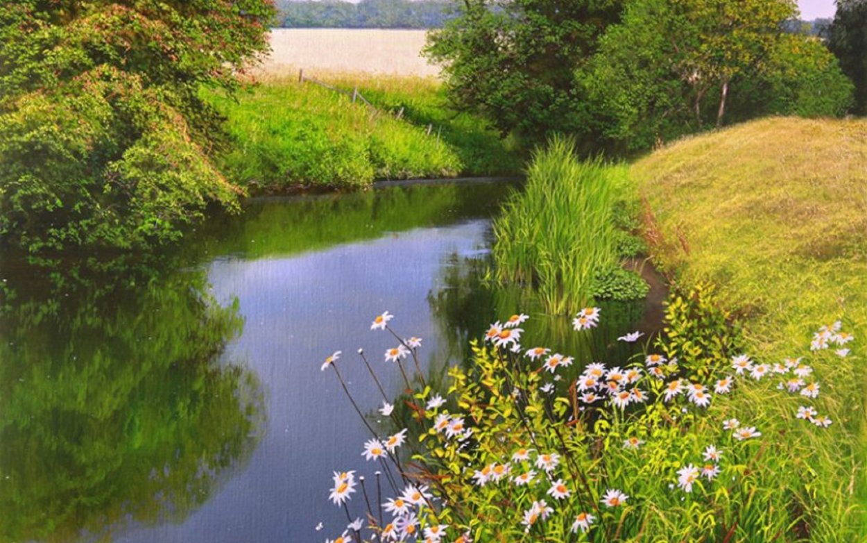 Васильки Сергея Краева