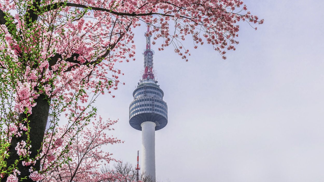 Южная Корея башня Намсан закат