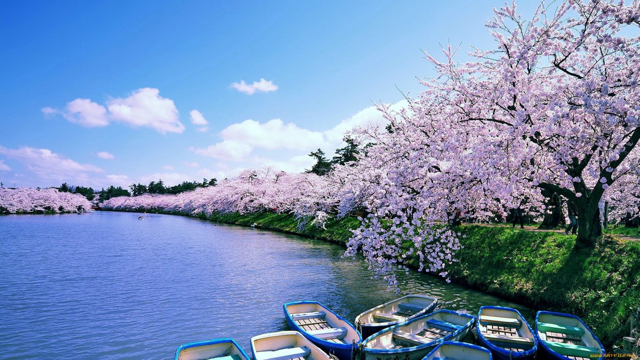 Япония манзаралари