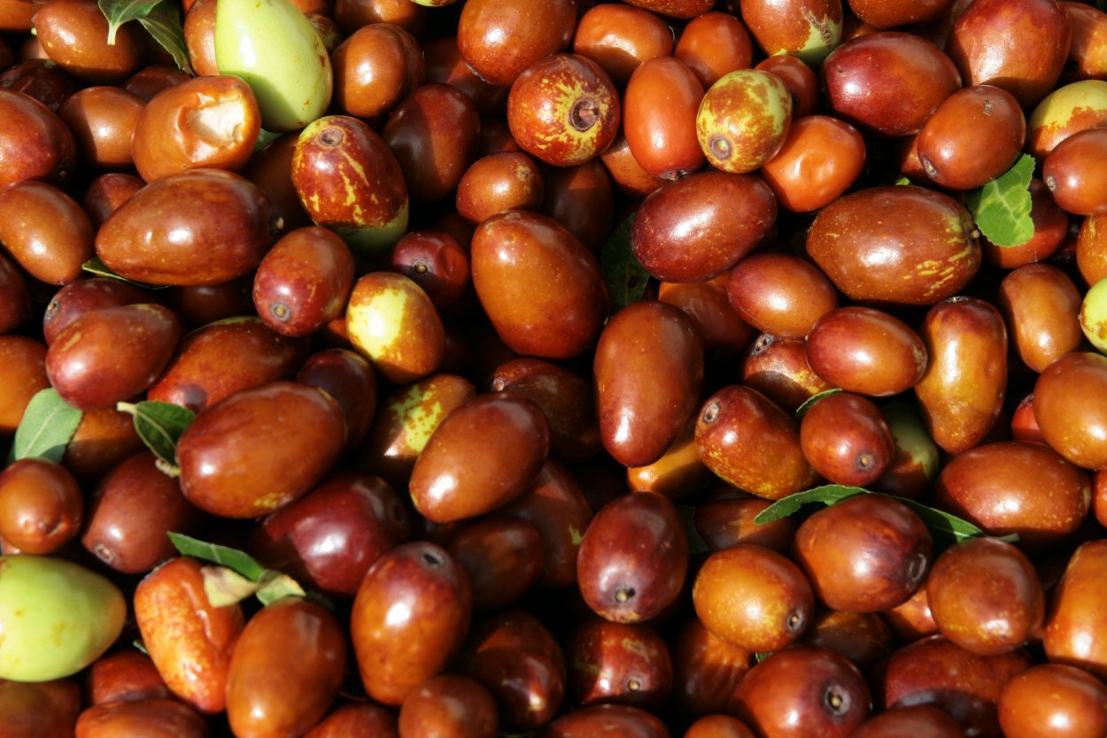 Китайский финик унаби крем