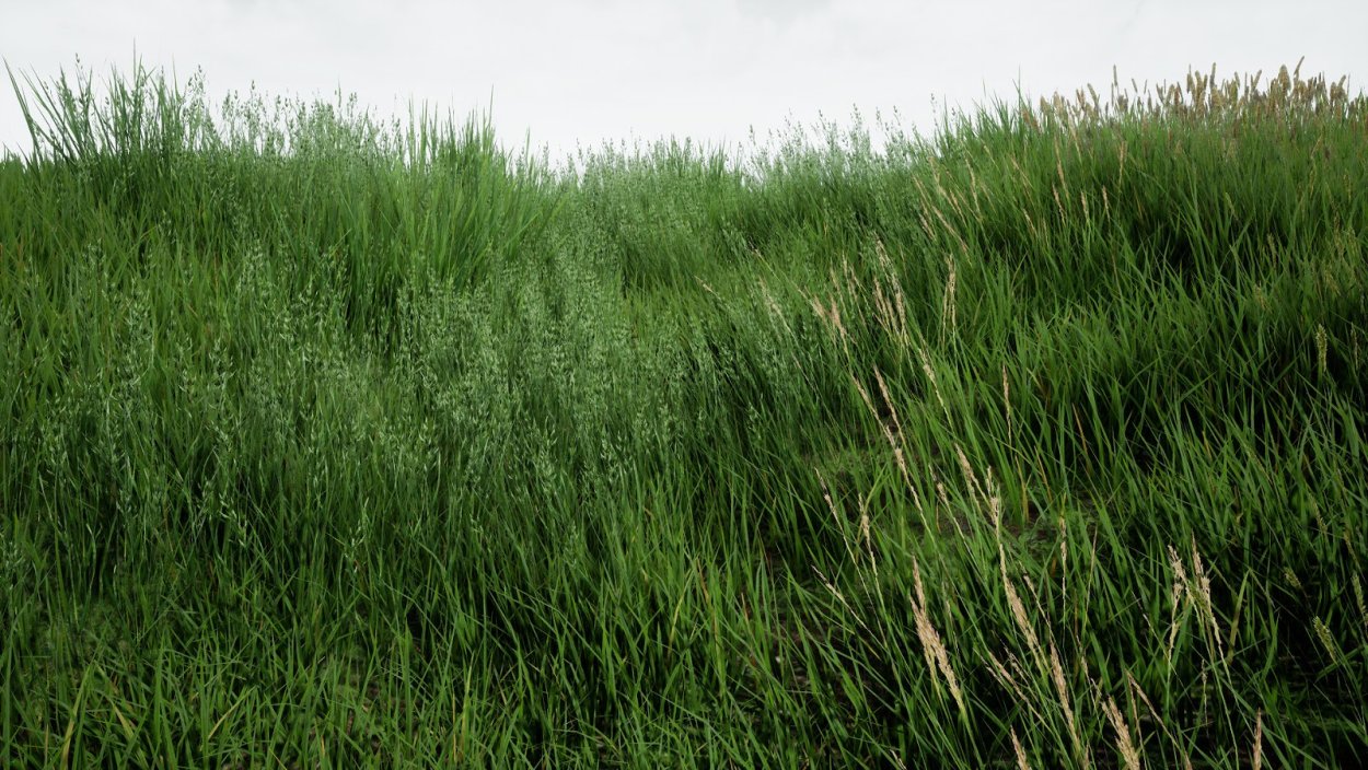 Текстура трава архикад