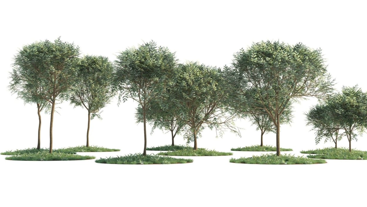 Деревья для визуализации архикад