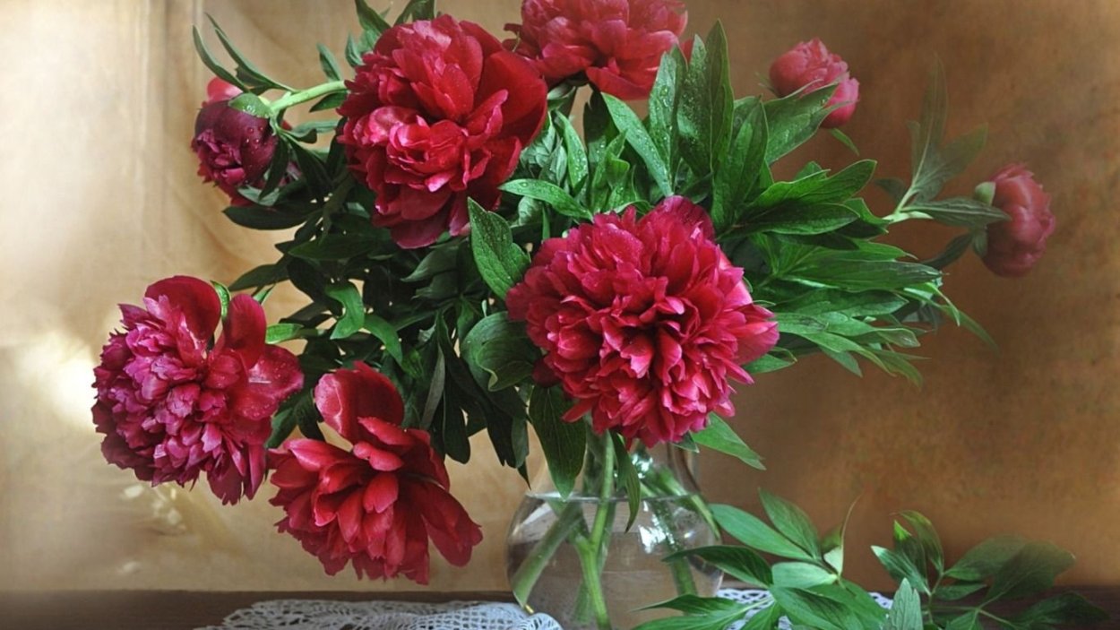 Пион в ф Тернер