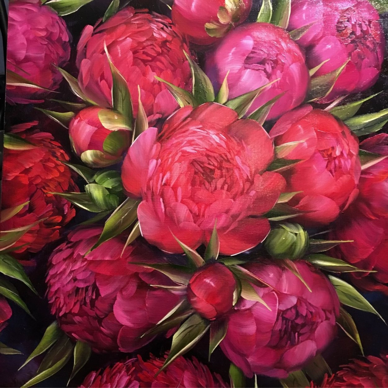 Пион красная Камелия