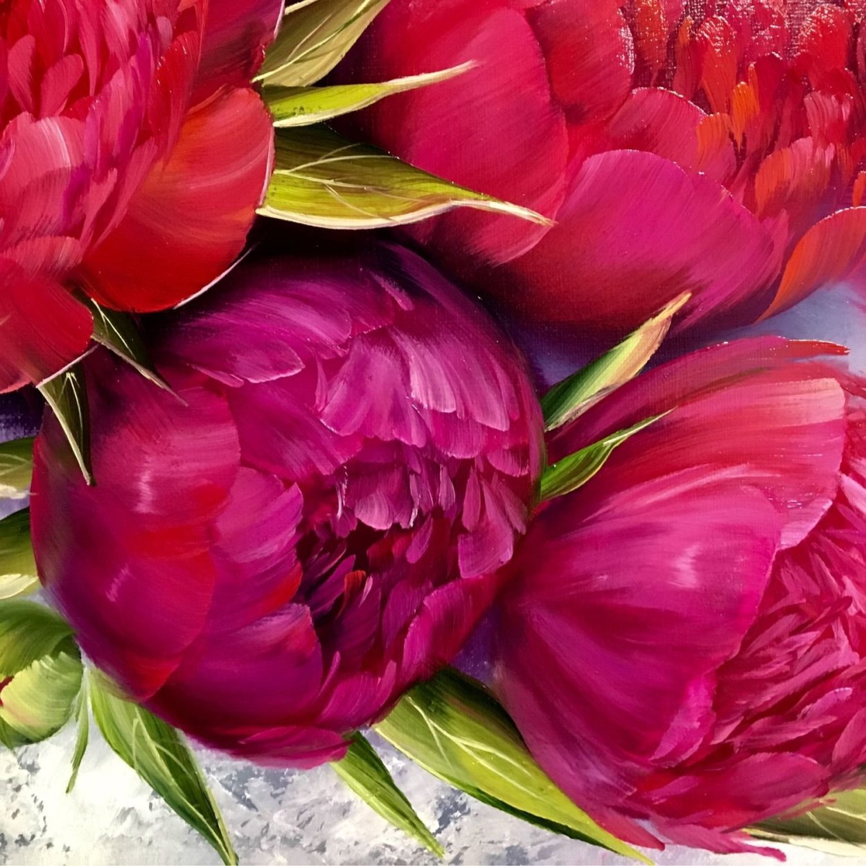 Пион Кримсон вельвет