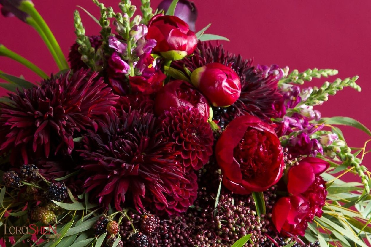 Бордовые цветы