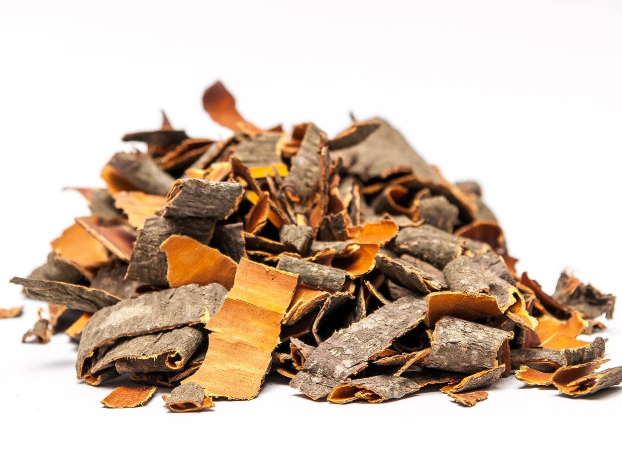 Жостер слабительный препараты