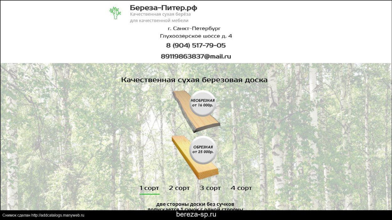 Свойства древесины березы