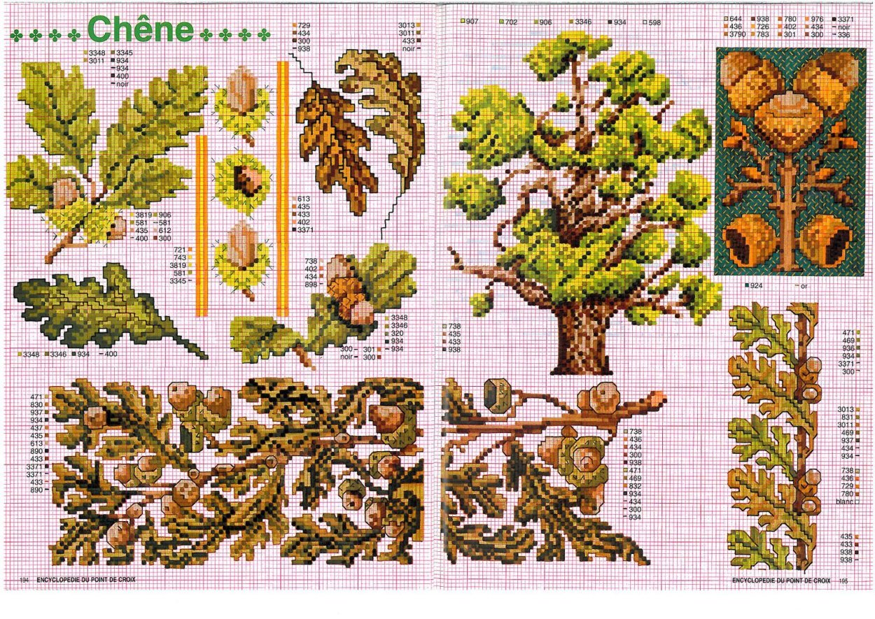Делоникс Королевский семена