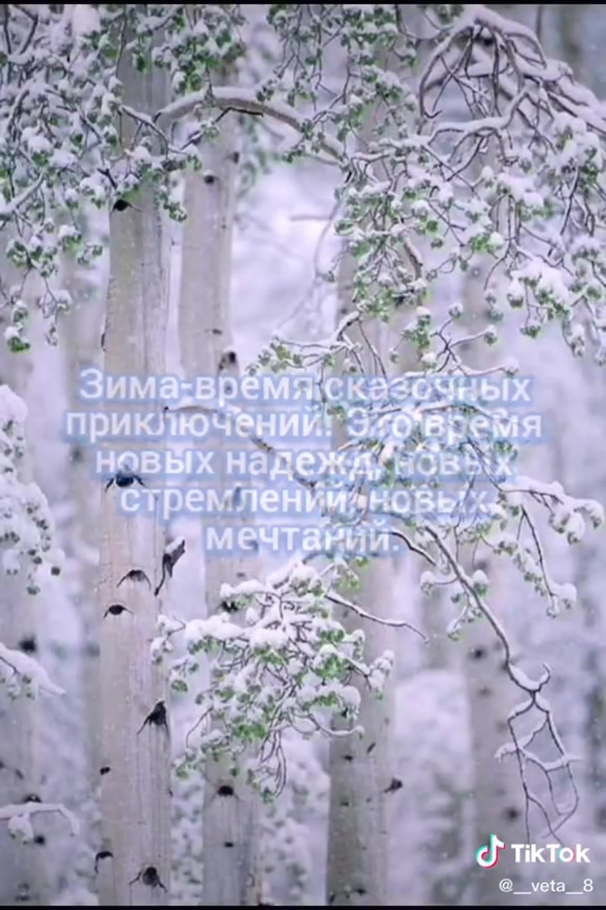 Береза полезная Жакмана