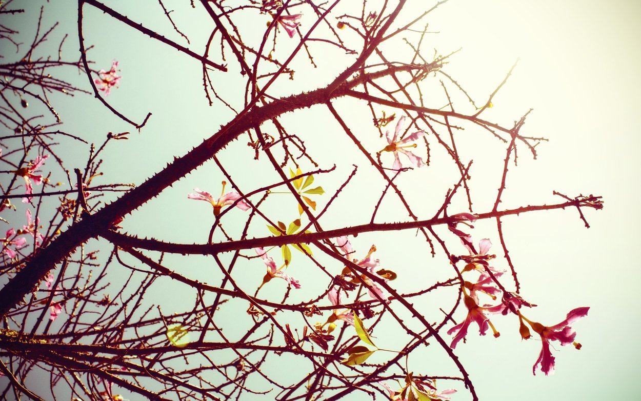 Осенние картинки Эстетика