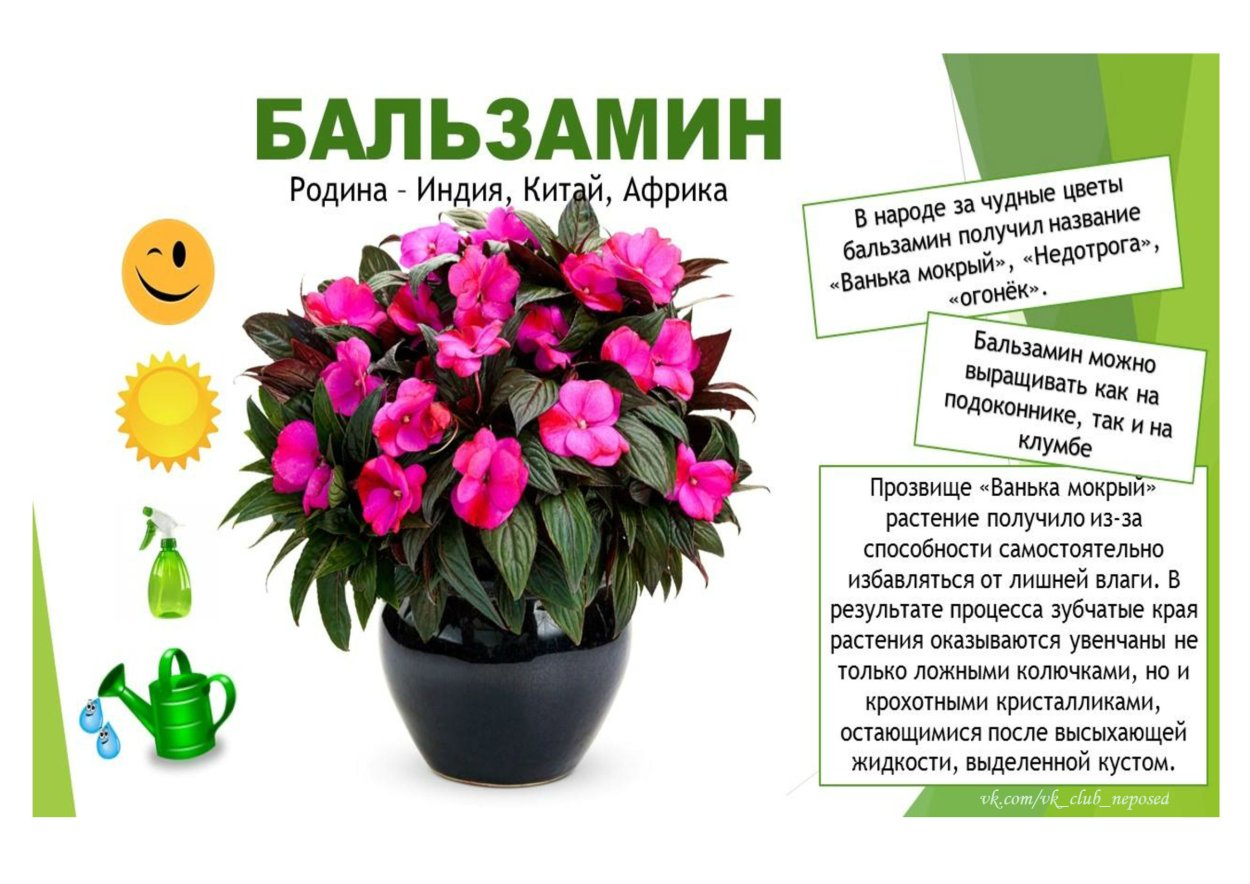Девушка с цветами без лица