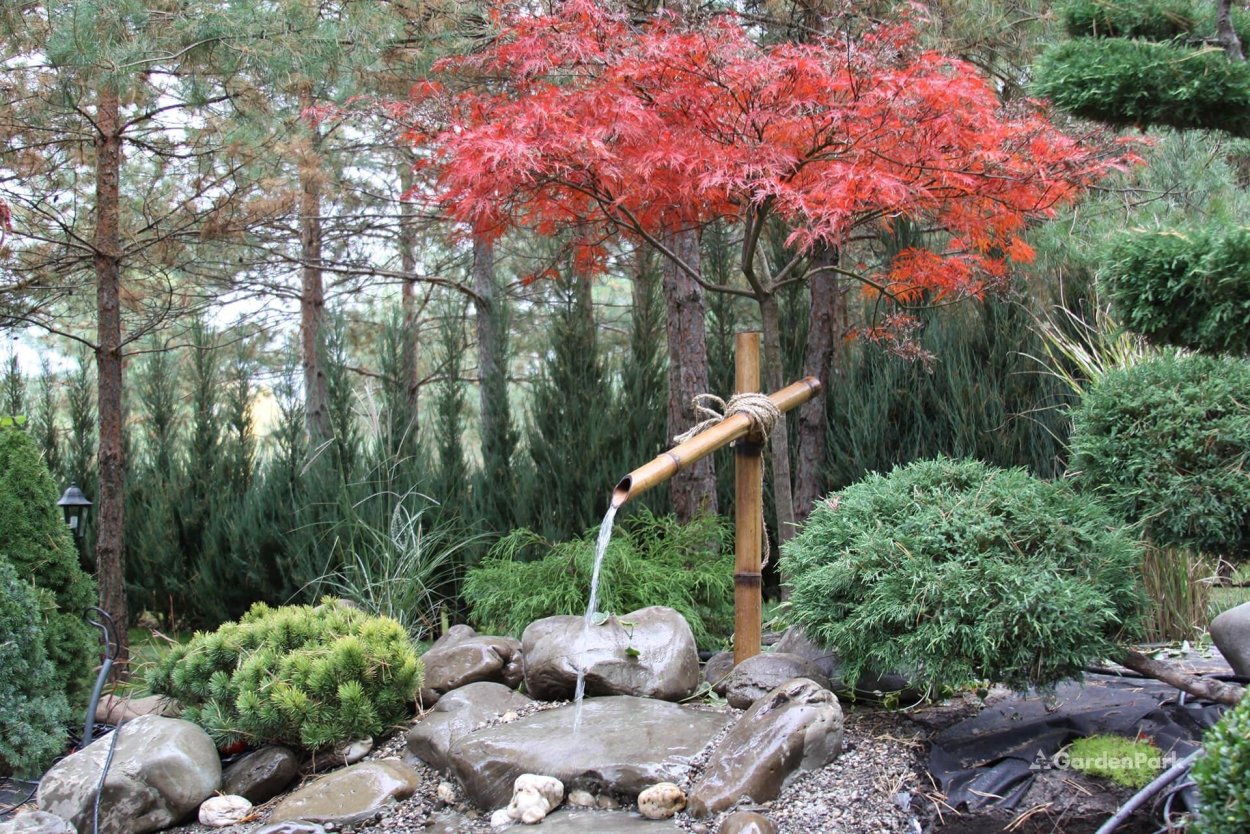 Сад Альбера Кана (Париж, Франция) японский сад.