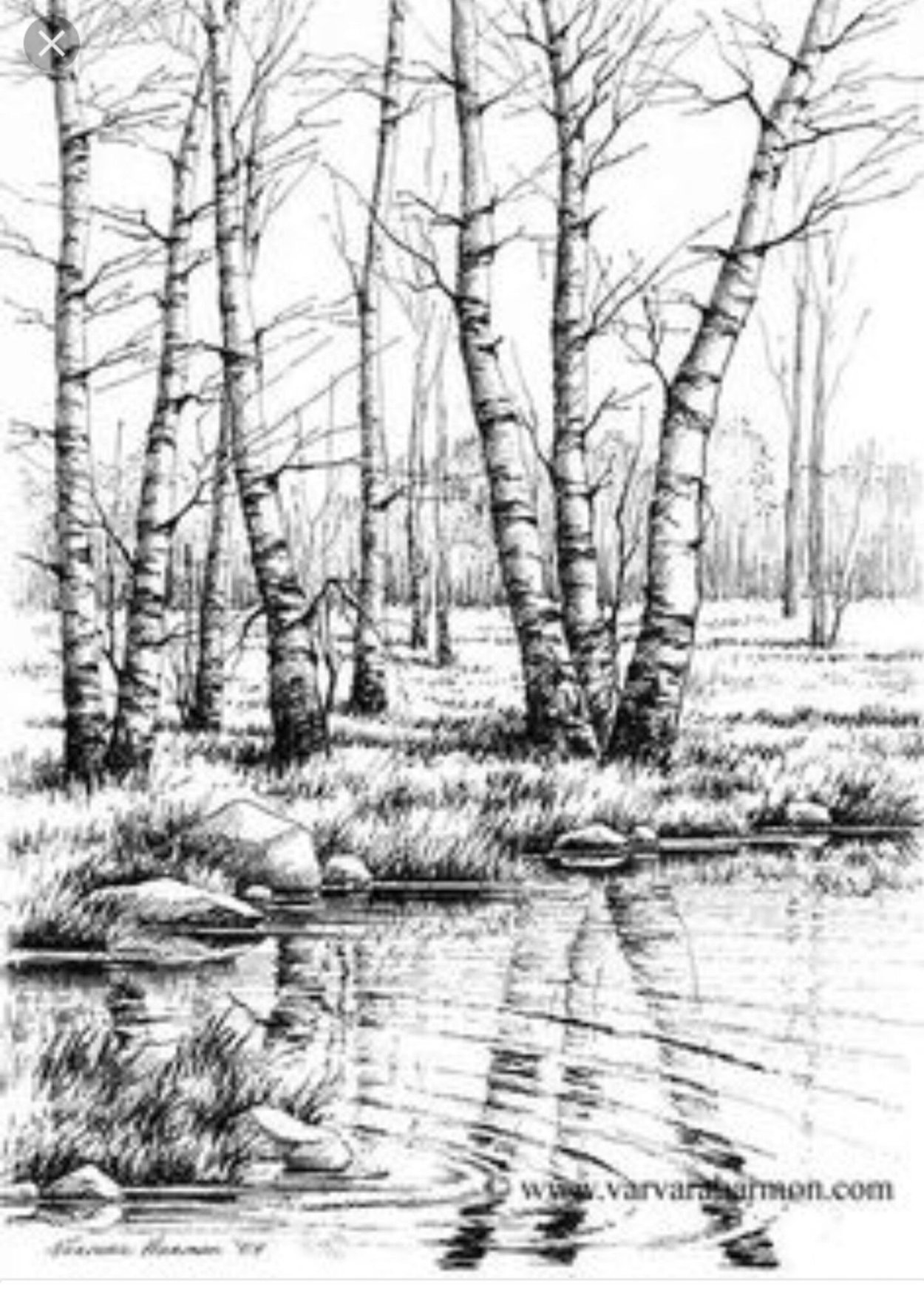 Зарисовка русской природы