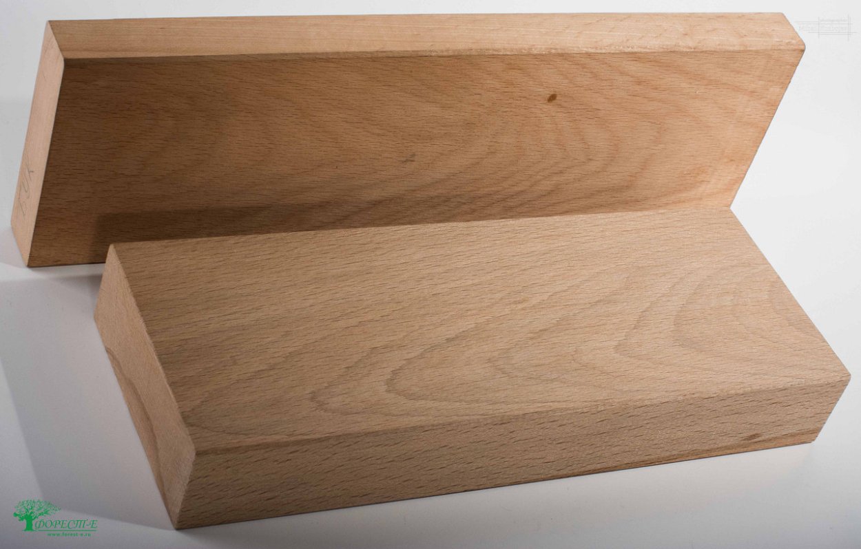 Древесина бука