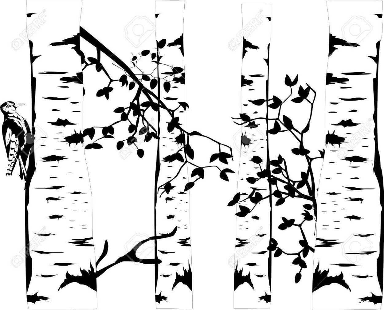 Береза узор