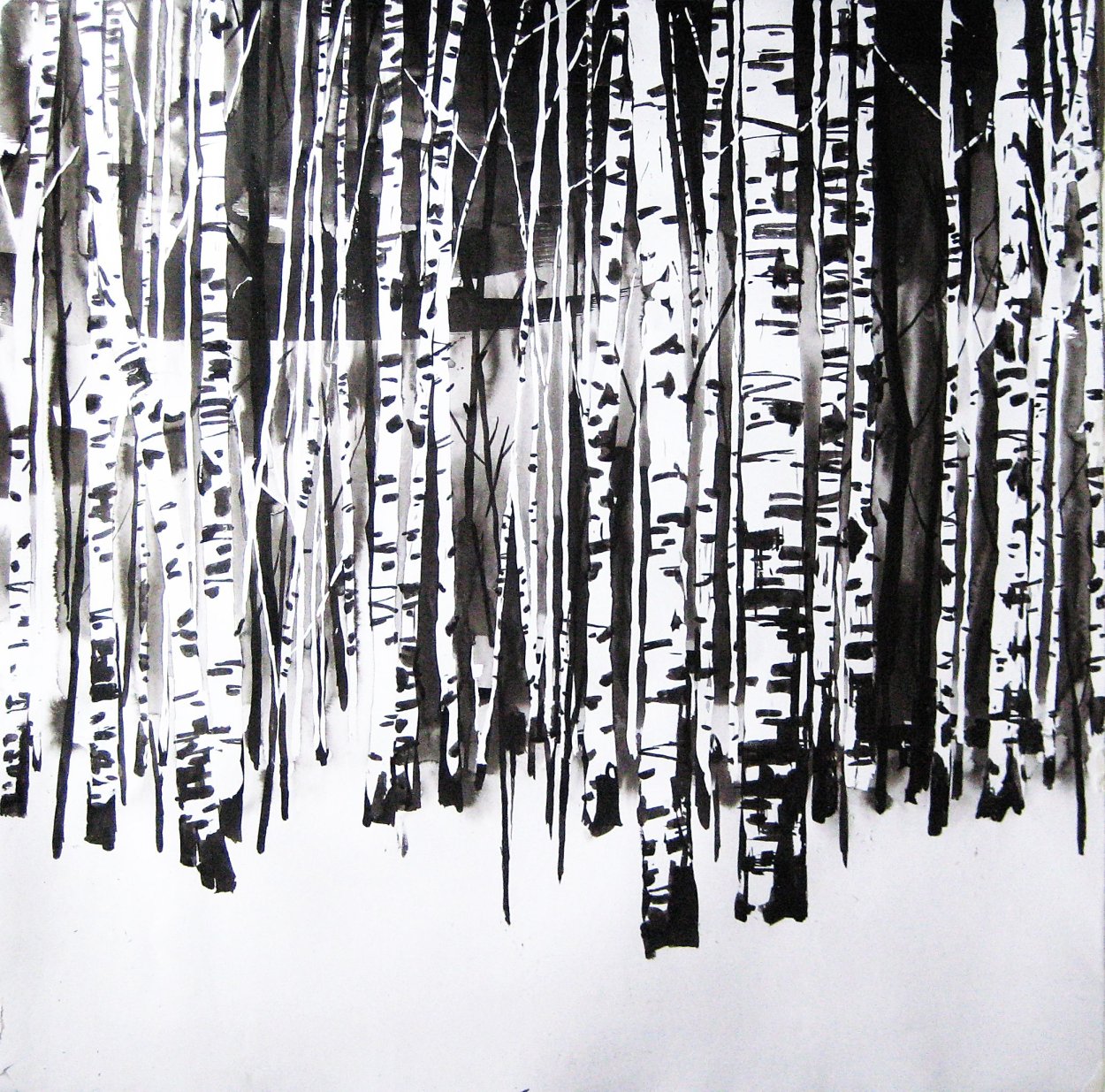 Береза Графика