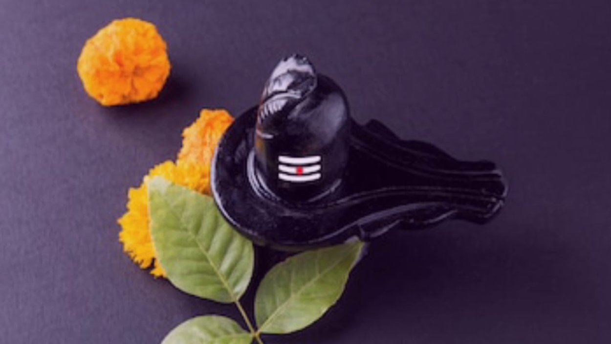 Листья дерева Бильва