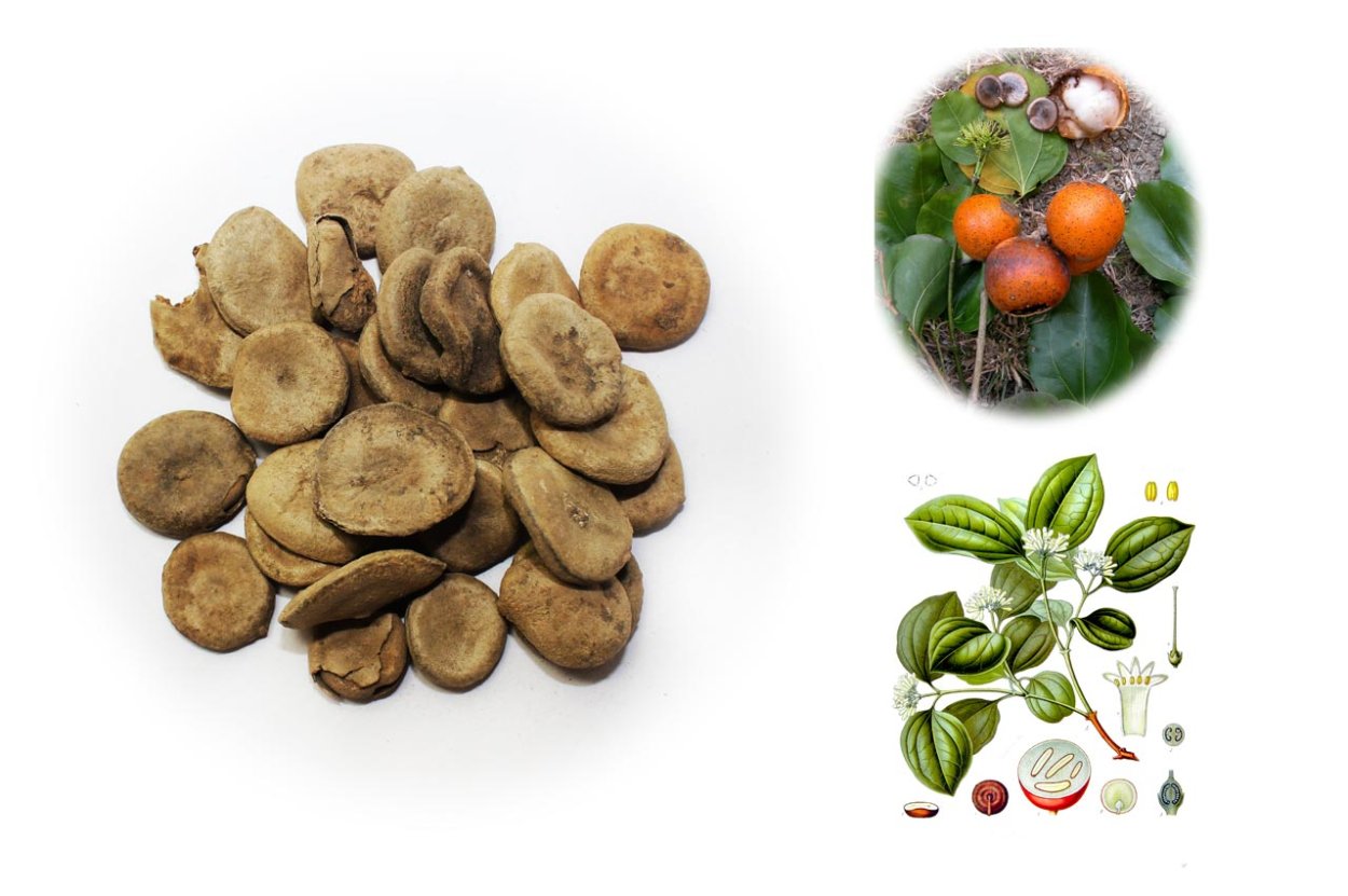 Стрихнин чилибуха