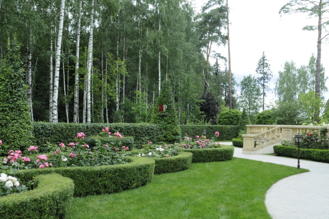 Лесной массив landshaft