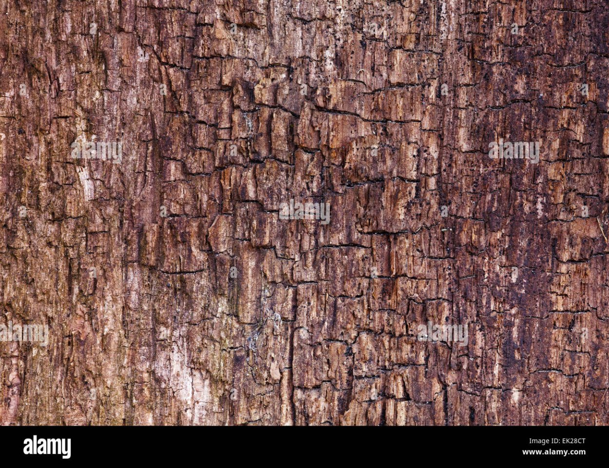 Эффект коры дерева на мебели