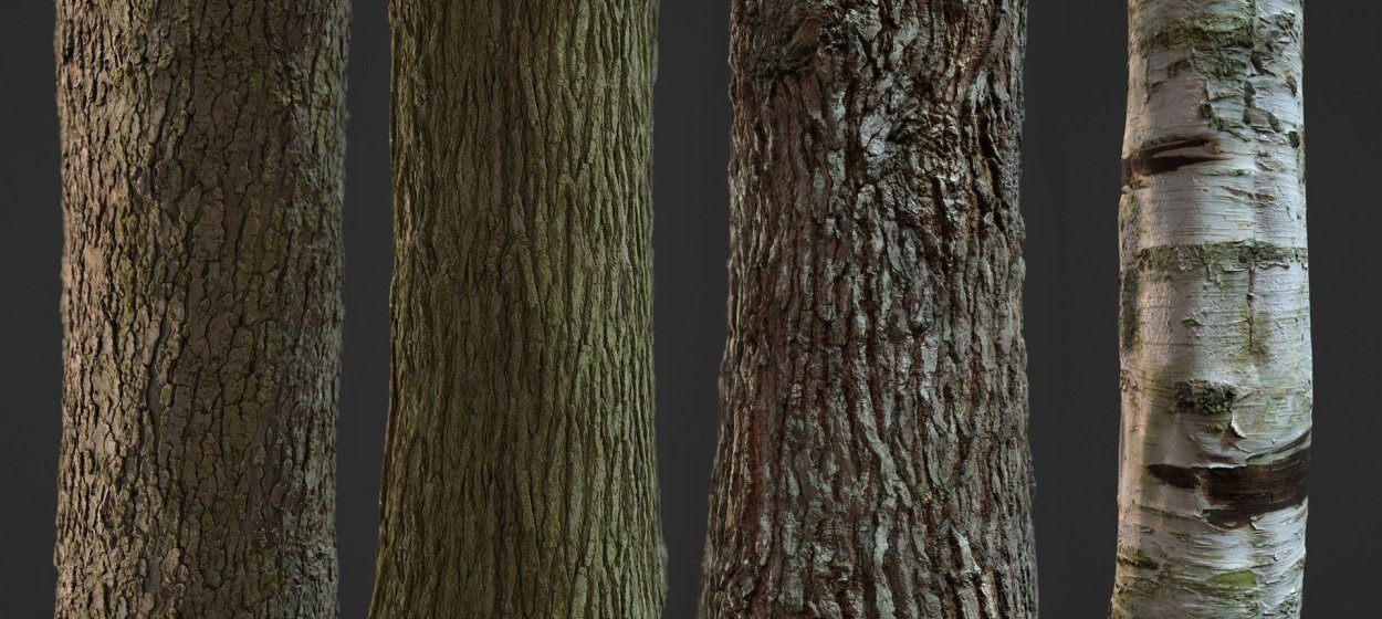 Кора дерева референс