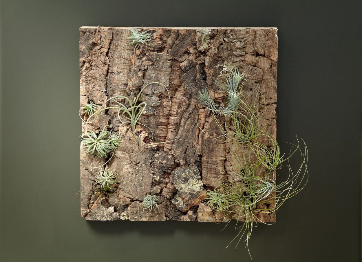 Декор из коры