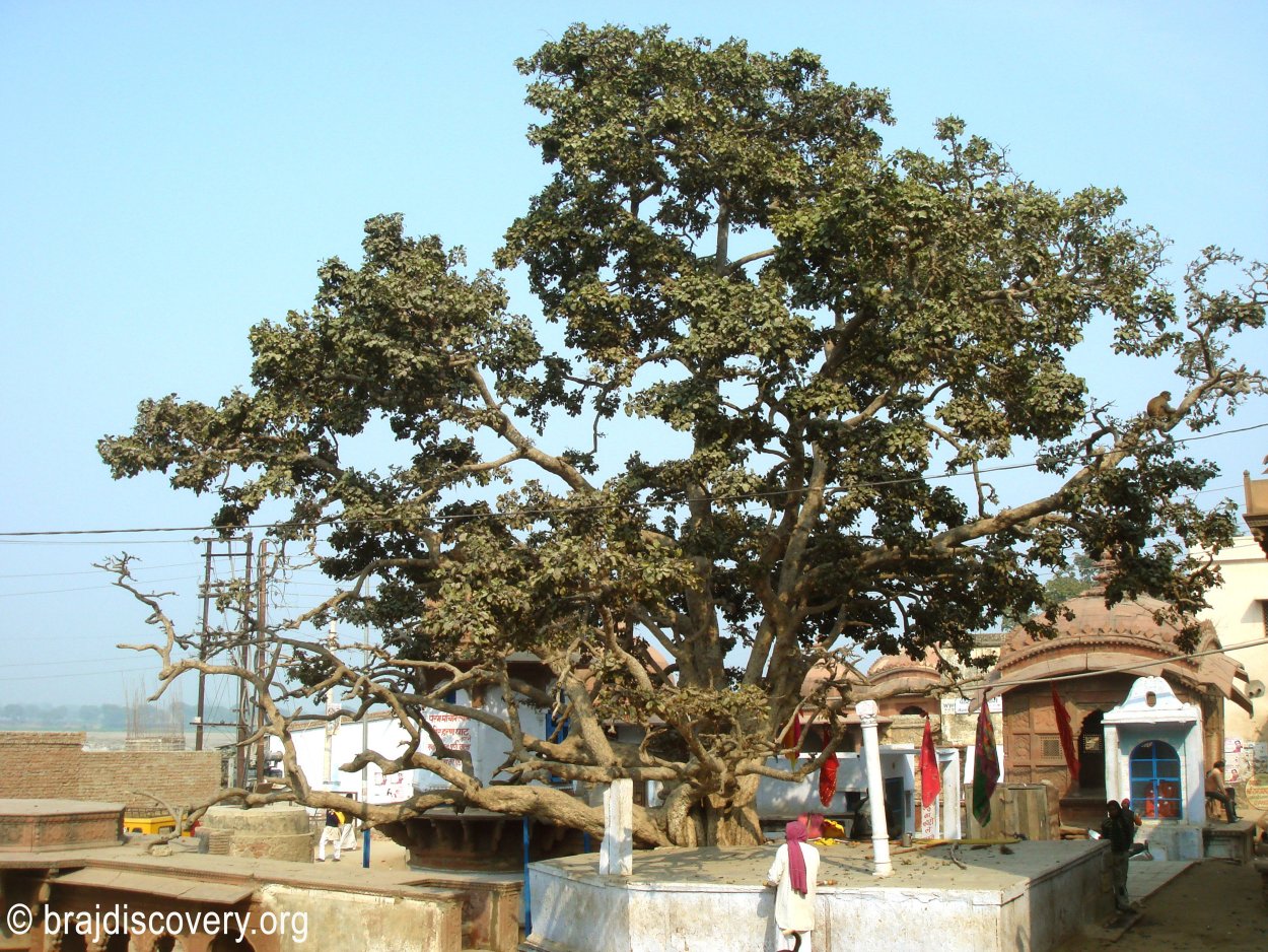 Калия Гхат Вриндаван