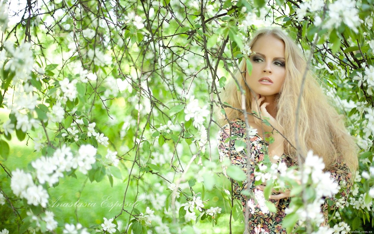 Девушка среди берез