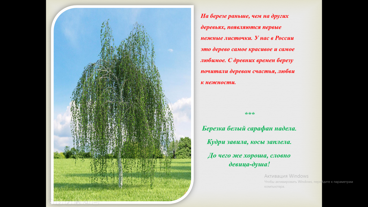 Есенин весенний белая берёзка