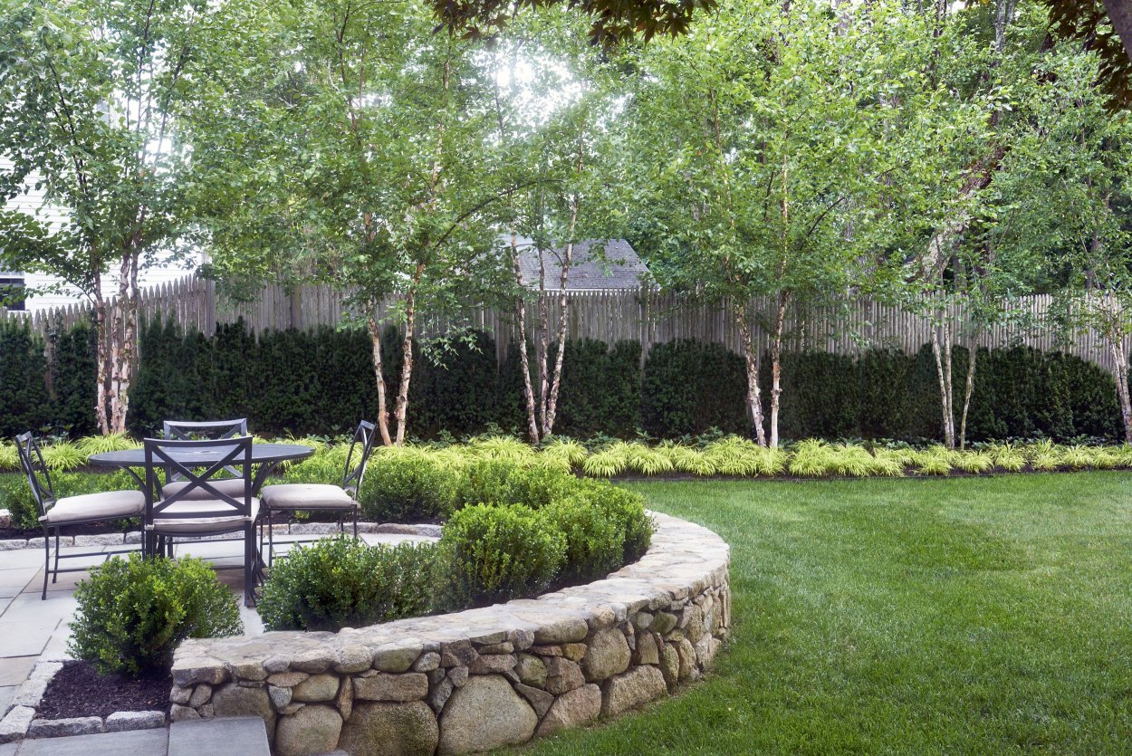 Насаждения по периметру участка