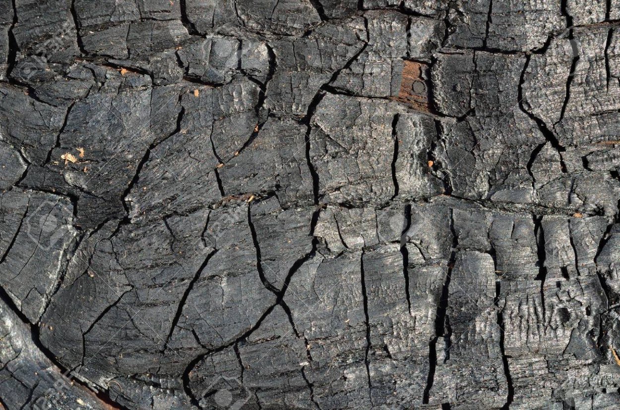 Эффект обгоревшего дерева